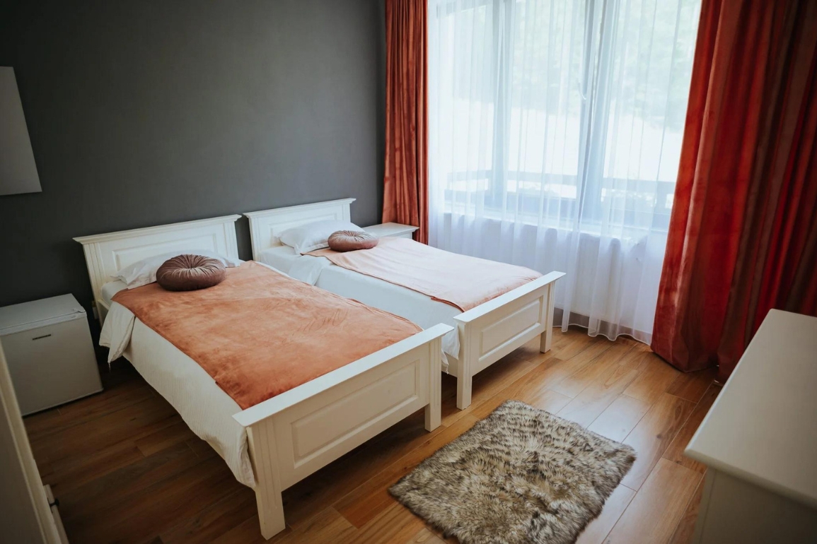 Camere Twin Baile Puturoasa